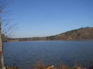 Property lake view 1