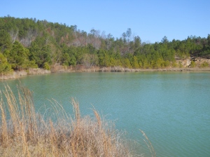Property lake view 2